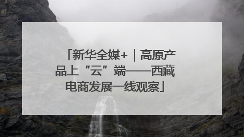 新华全媒+｜高原产品上“云”端——西藏电商发展一线观察