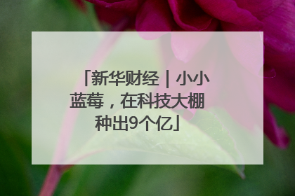 新华财经｜小小蓝莓，在科技大棚种出9个亿