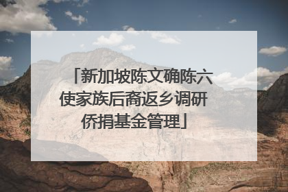 新加坡陈文确陈六使家族后裔返乡调研侨捐基金管理