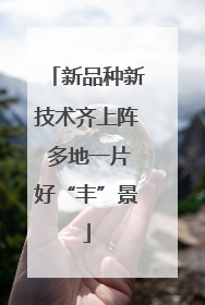 新品种新技术齐上阵 多地一片好“丰”景