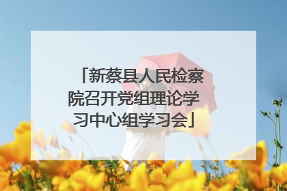 新蔡县人民检察院召开党组理论学习中心组学习会