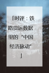 时评：铁路货运数据里的“中国经济脉动”