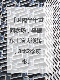 时隔半年重回赛场，樊振东上演大逆转，3比2徐瑛彬