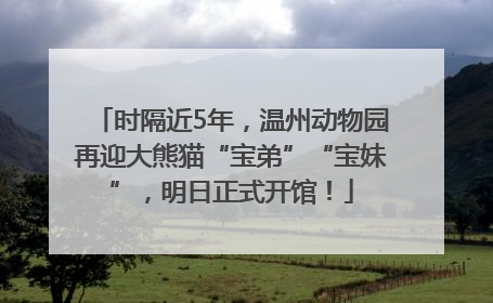 时隔近5年，温州动物园再迎大熊猫“宝弟”“宝妹”，明日正式开馆！