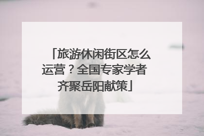 旅游休闲街区怎么运营？全国专家学者齐聚岳阳献策