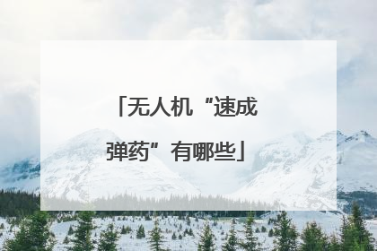 无人机“速成弹药”有哪些