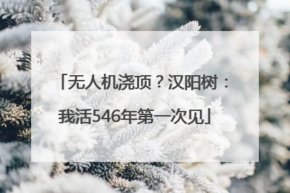 无人机浇顶？汉阳树：我活546年第一次见
