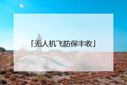 无人机飞防保丰收