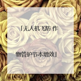 无人机飞防 作物管护节本增效