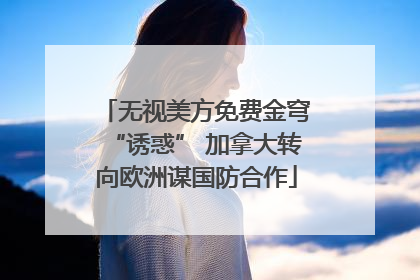 无视美方免费金穹“诱惑” 加拿大转向欧洲谋国防合作