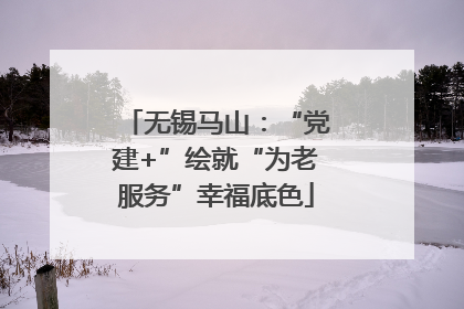 无锡马山：“党建+”绘就“为老服务”幸福底色