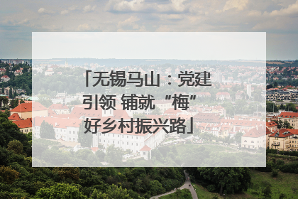 无锡马山：党建引领 铺就“梅”好乡村振兴路