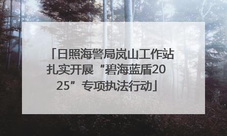 日照海警局岚山工作站扎实开展“碧海蓝盾2025”专项执法行动