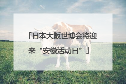 日本大阪世博会将迎来“安徽活动日”