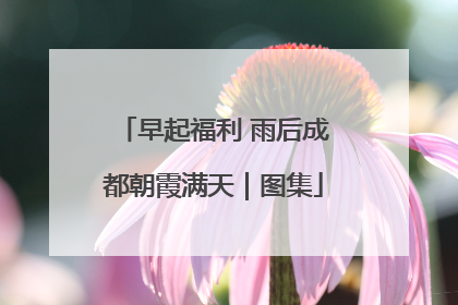 早起福利 雨后成都朝霞满天｜图集