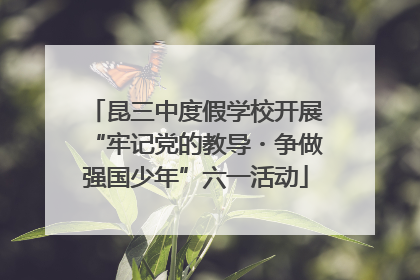 昆三中度假学校开展“牢记党的教导・争做强国少年”六一活动
