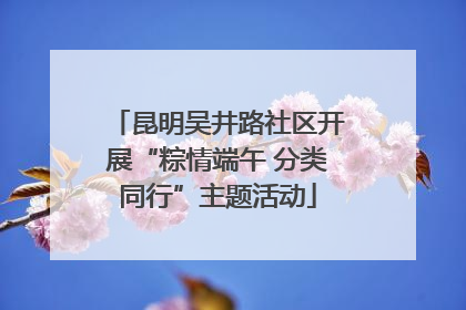 昆明吴井路社区开展“粽情端午 分类同行”主题活动