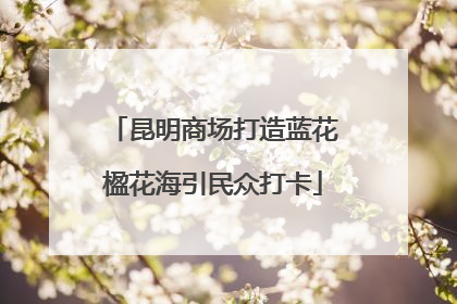 昆明商场打造蓝花楹花海引民众打卡