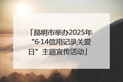昆明市举办2025年“6·14信用记录关爱日”主题宣传活动