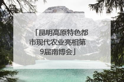 昆明高原特色都市现代农业亮相第9届南博会