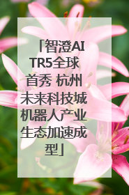 智澄AITR5全球首秀 杭州未来科技城机器人产业生态加速成型