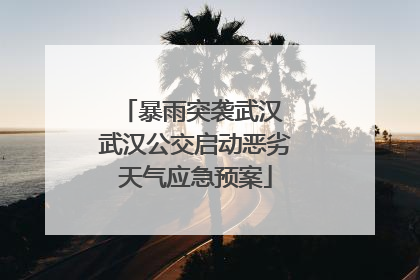 暴雨突袭武汉 武汉公交启动恶劣天气应急预案