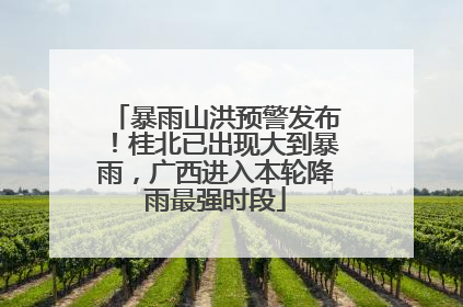 暴雨山洪预警发布！桂北已出现大到暴雨，广西进入本轮降雨最强时段