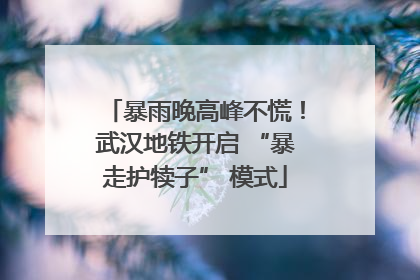 暴雨晚高峰不慌！武汉地铁开启 “暴走护犊子” 模式
