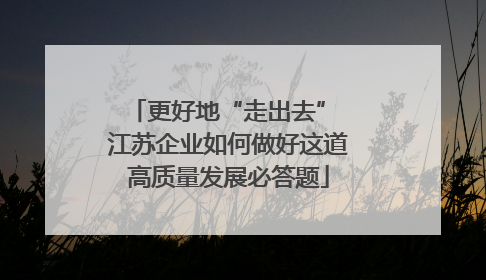 更好地“走出去” 江苏企业如何做好这道高质量发展必答题