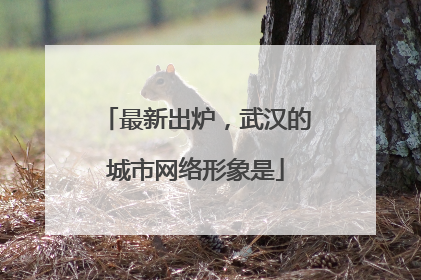 最新出炉，武汉的城市网络形象是