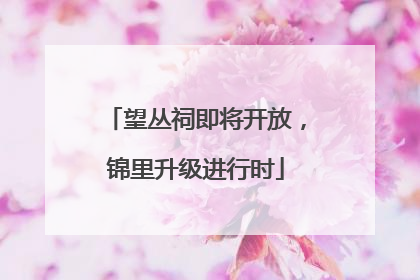 望丛祠即将开放，锦里升级进行时
