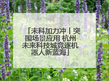 未科加力冲丨突围场景应用 杭州未来科技城竞逐机器人新蓝海