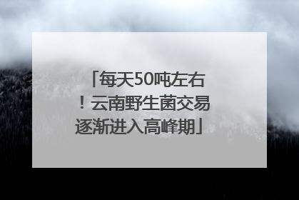 每天50吨左右！云南野生菌交易逐渐进入高峰期