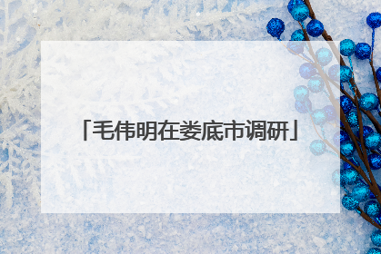 毛伟明在娄底市调研