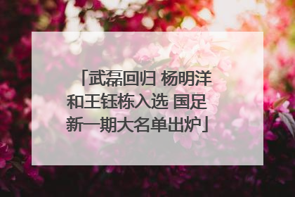 武磊回归 杨明洋和王钰栋入选 国足新一期大名单出炉