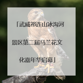武威祁连山冰沟河景区第二届马兰花文化嘉年华启幕