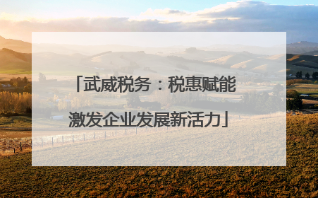 武威税务：税惠赋能 激发企业发展新活力