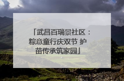 武昌百瑞景社区：粽意童行庆双节 护苗传承筑家园