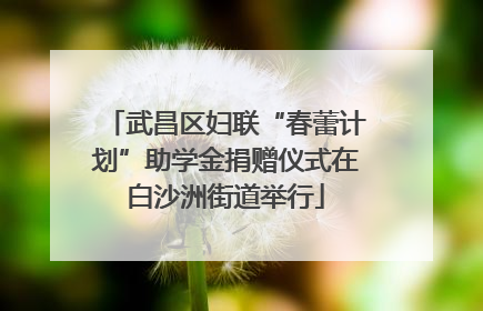 武昌区妇联“春蕾计划”助学金捐赠仪式在白沙洲街道举行