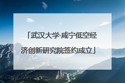 武汉大学·咸宁低空经济创新研究院签约成立