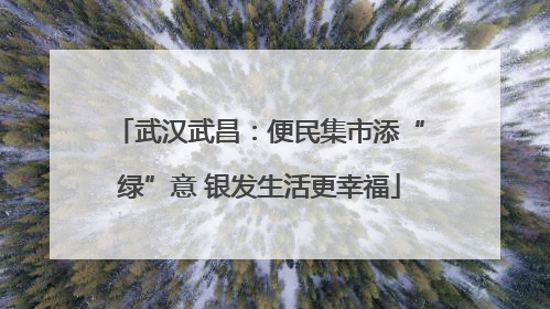 武汉武昌：便民集市添“绿”意 银发生活更幸福