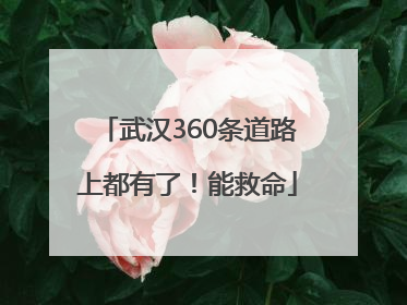 武汉360条道路上都有了！能救命