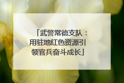 武警常德支队：用驻地红色资源引领官兵奋斗成长