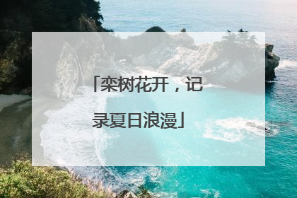 栾树花开，记录夏日浪漫