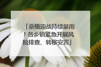 桑植迎战持续暴雨！各乡镇紧急开展风险排查、转移安置