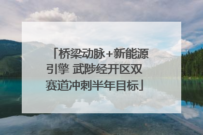 桥梁动脉+新能源引擎 武陟经开区双赛道冲刺半年目标