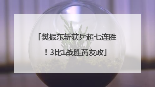 樊振东斩获乒超七连胜！3比1战胜黄友政