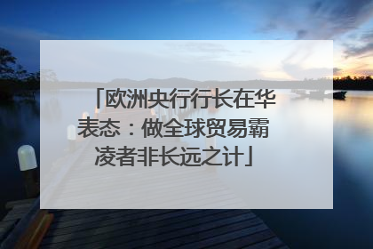 欧洲央行行长在华表态：做全球贸易霸凌者非长远之计