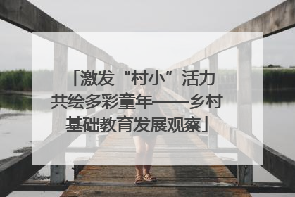 激发“村小”活力 共绘多彩童年——乡村基础教育发展观察