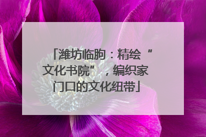 潍坊临朐：精绘“文化书院”，编织家门口的文化纽带